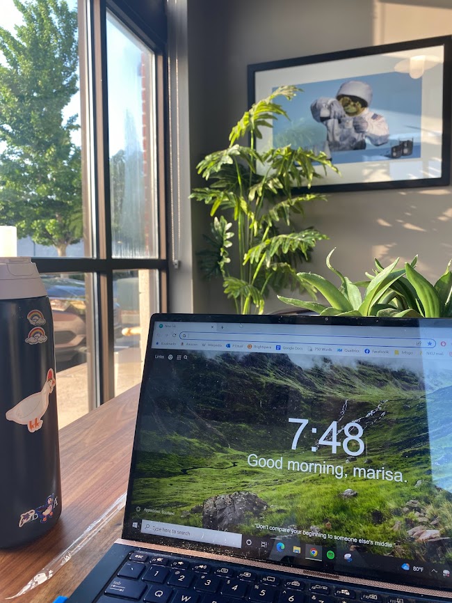 The Prospectus Defense